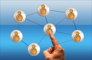 爱游戏体育app-体育新闻中心联合高校开展体育传媒创新创业大赛，体育产业创新创业大赛