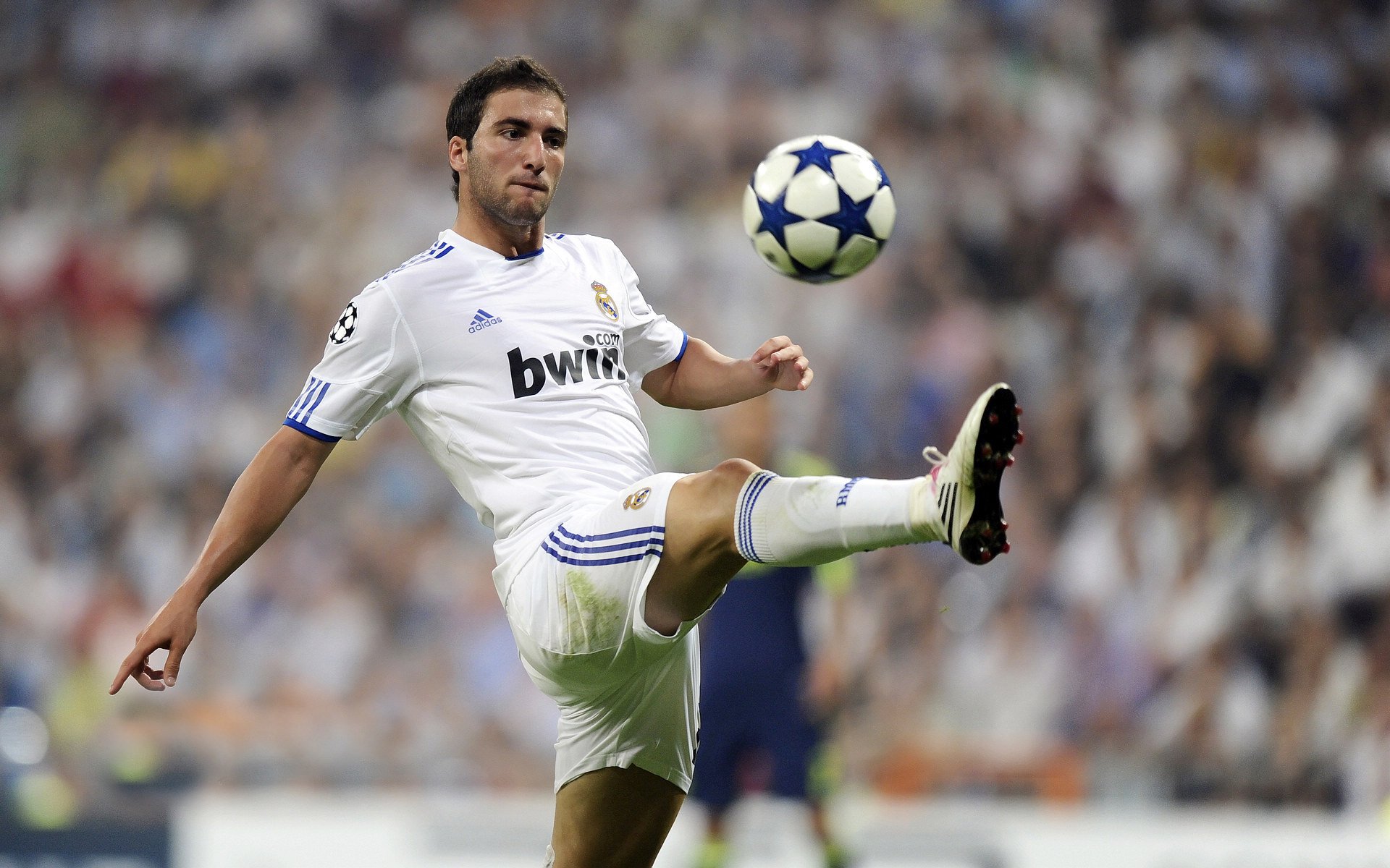 爱游戏在线登录入口-“帕布罗·马特拉的战术领袖角色，推动阿根廷美洲狮队迎接未来挑战”